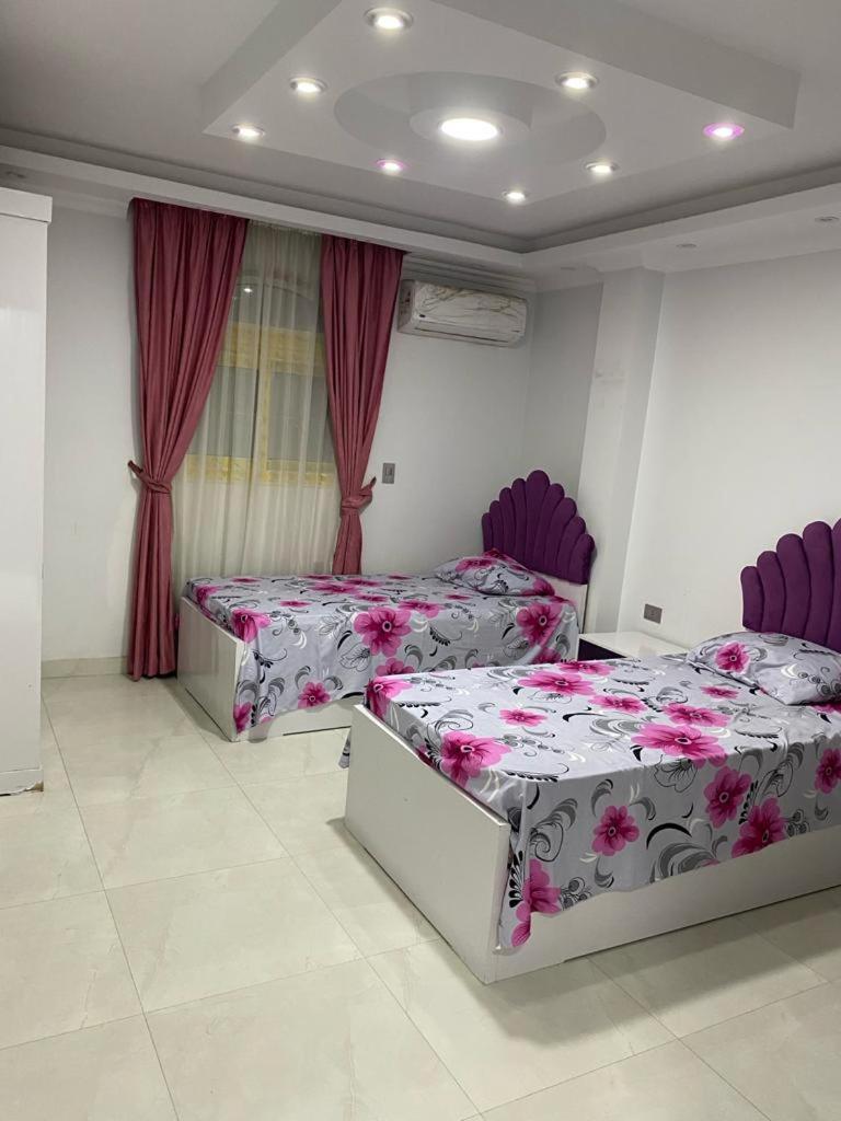 Apartment Negm Shehab *